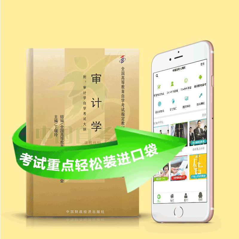 00160 审计学 2025年4月精华版